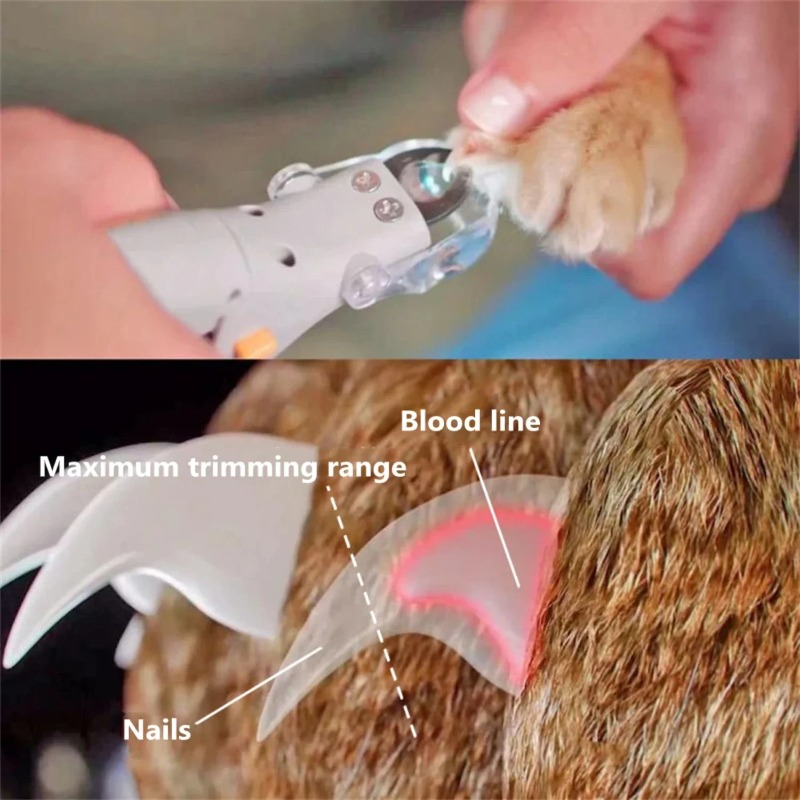 1PC Pet Nail Clipper with LED  - огляд і ціна Pet Supplies For Dogs