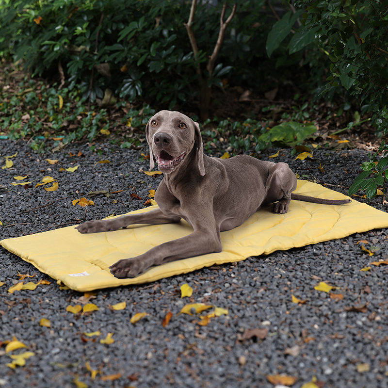 Portable Pet Mat Foldable Pet  - огляд і ціна Pet Supplies Dog Wash