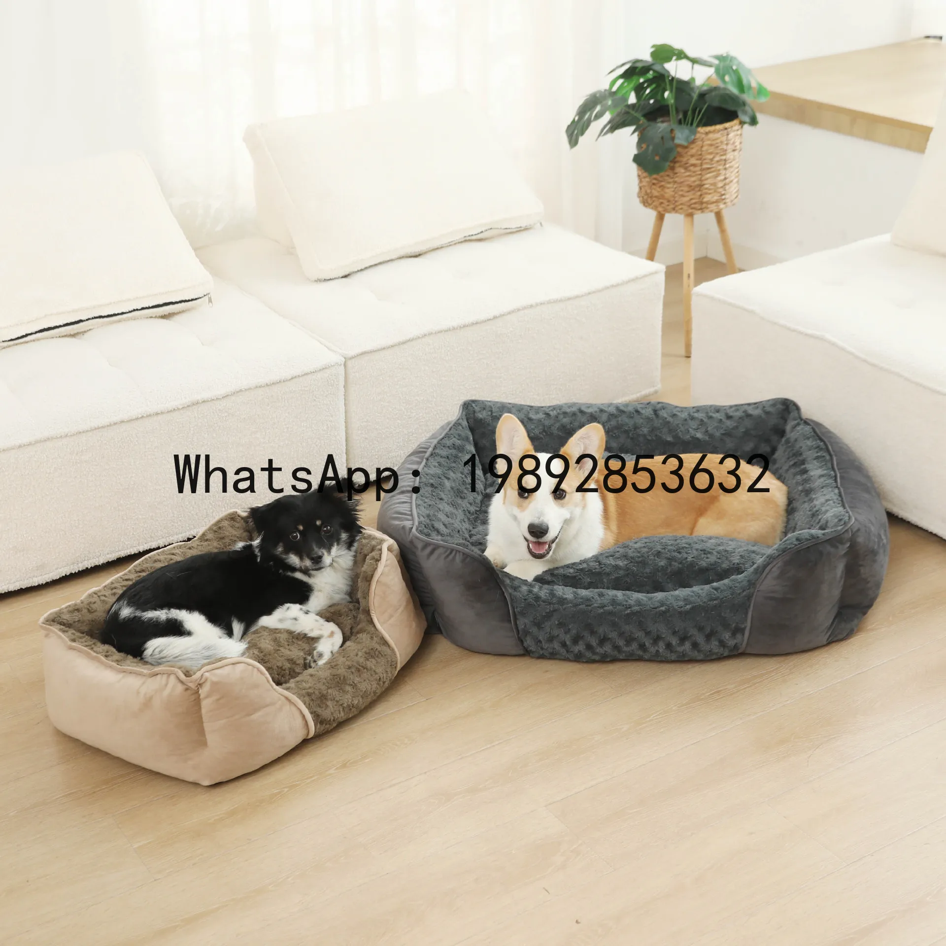 X cat house semi-enclosed dog  - огляд і ціна Pet X Supplies & Tack Reviews