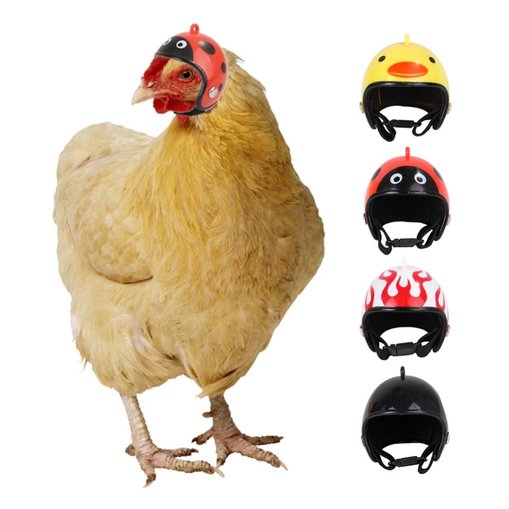 ABS Pet Supplies Funny Pet Pro - огляд і ціна Pet X Supplies & Tack Reviews