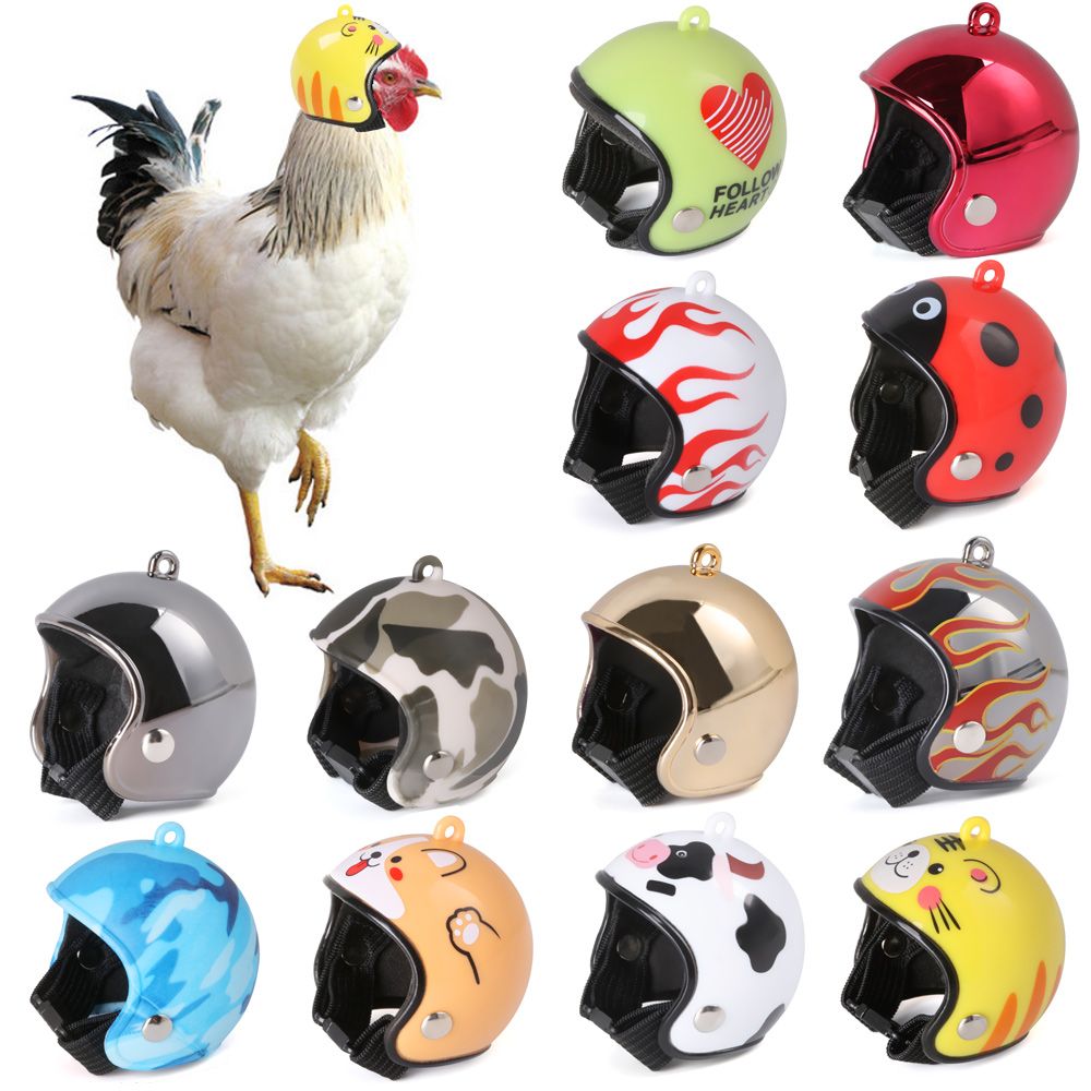 ABS Pet Supplies Funny Pet Pro - огляд і ціна Pet X Supplies & Tack Reviews