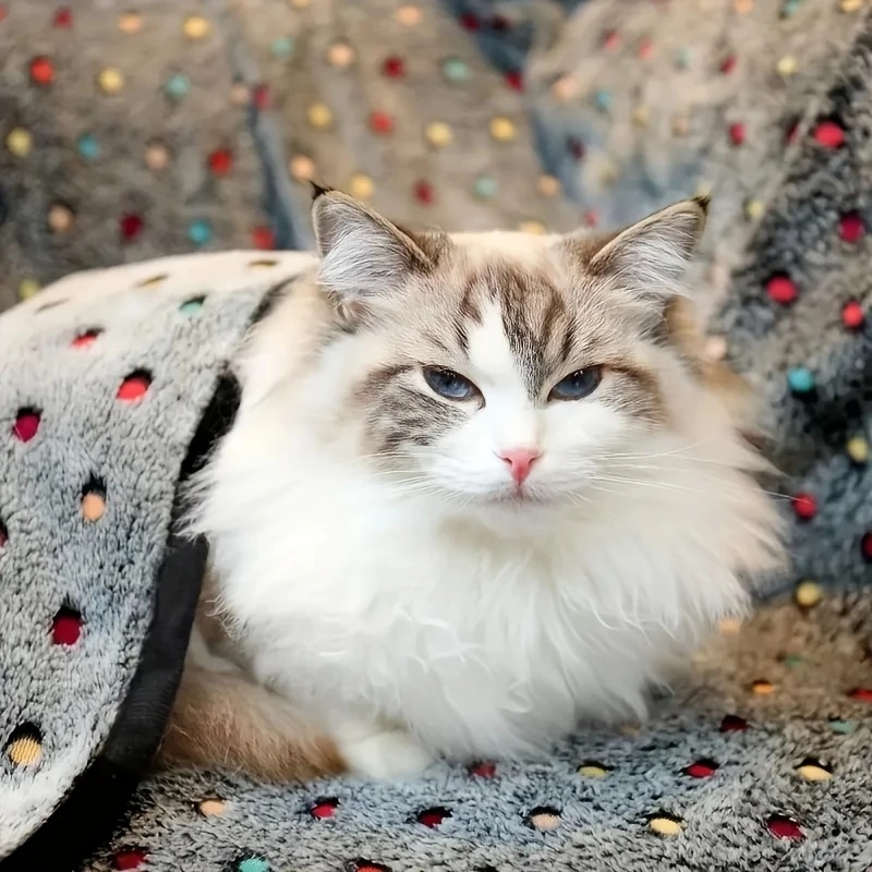 3PCS Soft Fluffy Pet Blanket C - огляд і ціна Pet Supplies For Dogs