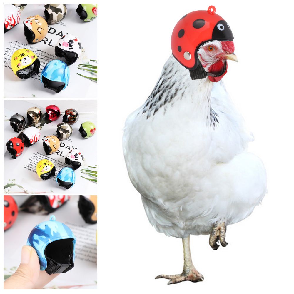 ABS Funny Pet Supplies Pet Pro - огляд і ціна Pet X Supplies & Tack Reviews